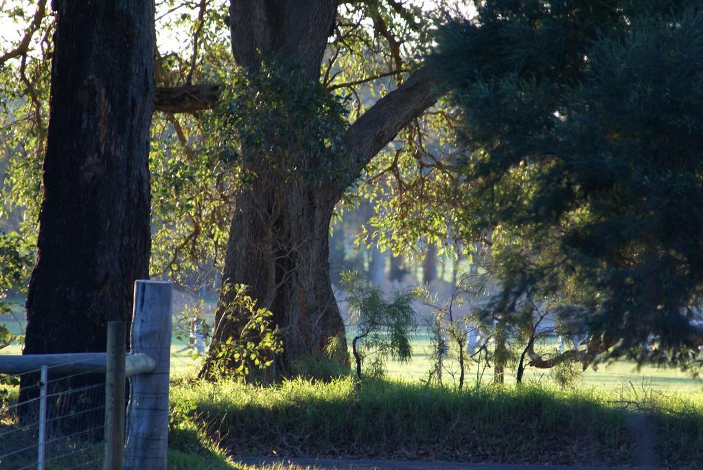 Ellensbrook Cottages Cowaramup Екстер'єр фото